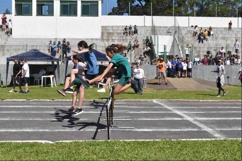 (Fotos: Divulgação / PMDI)
